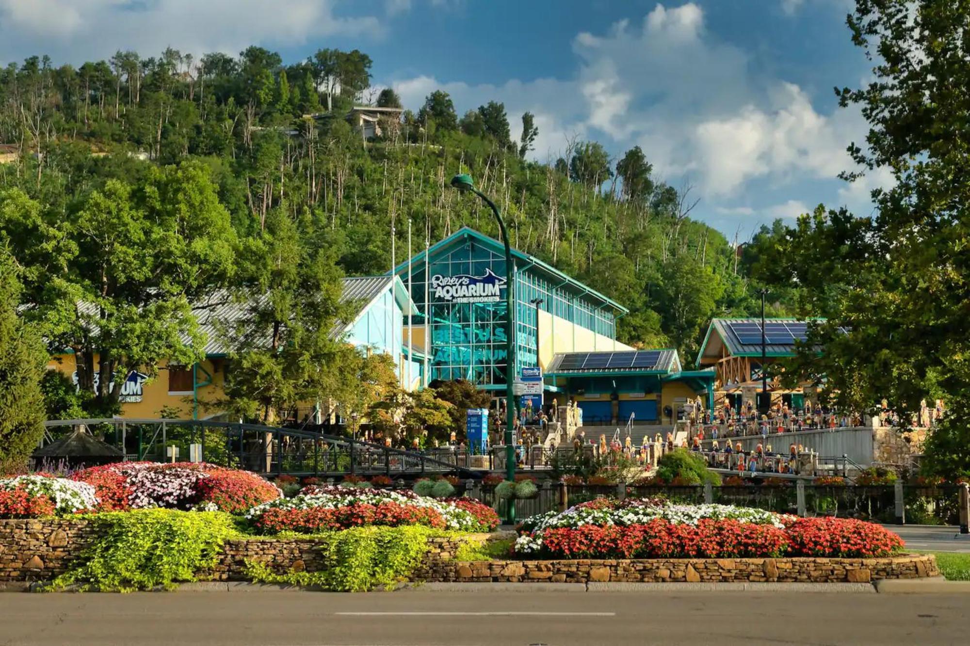 Views 1Br15Bath Pet-Friendly With Hot Tub & Bbq Pigeon Forge Exteriér fotografie